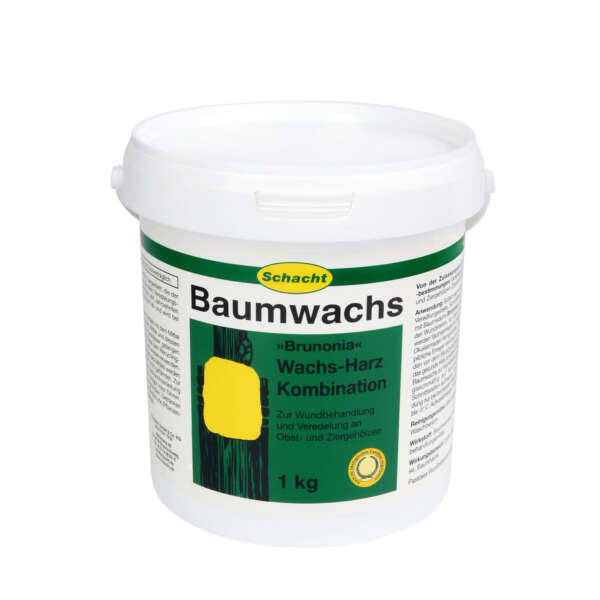 Schacht Baumwachs Brunonia
